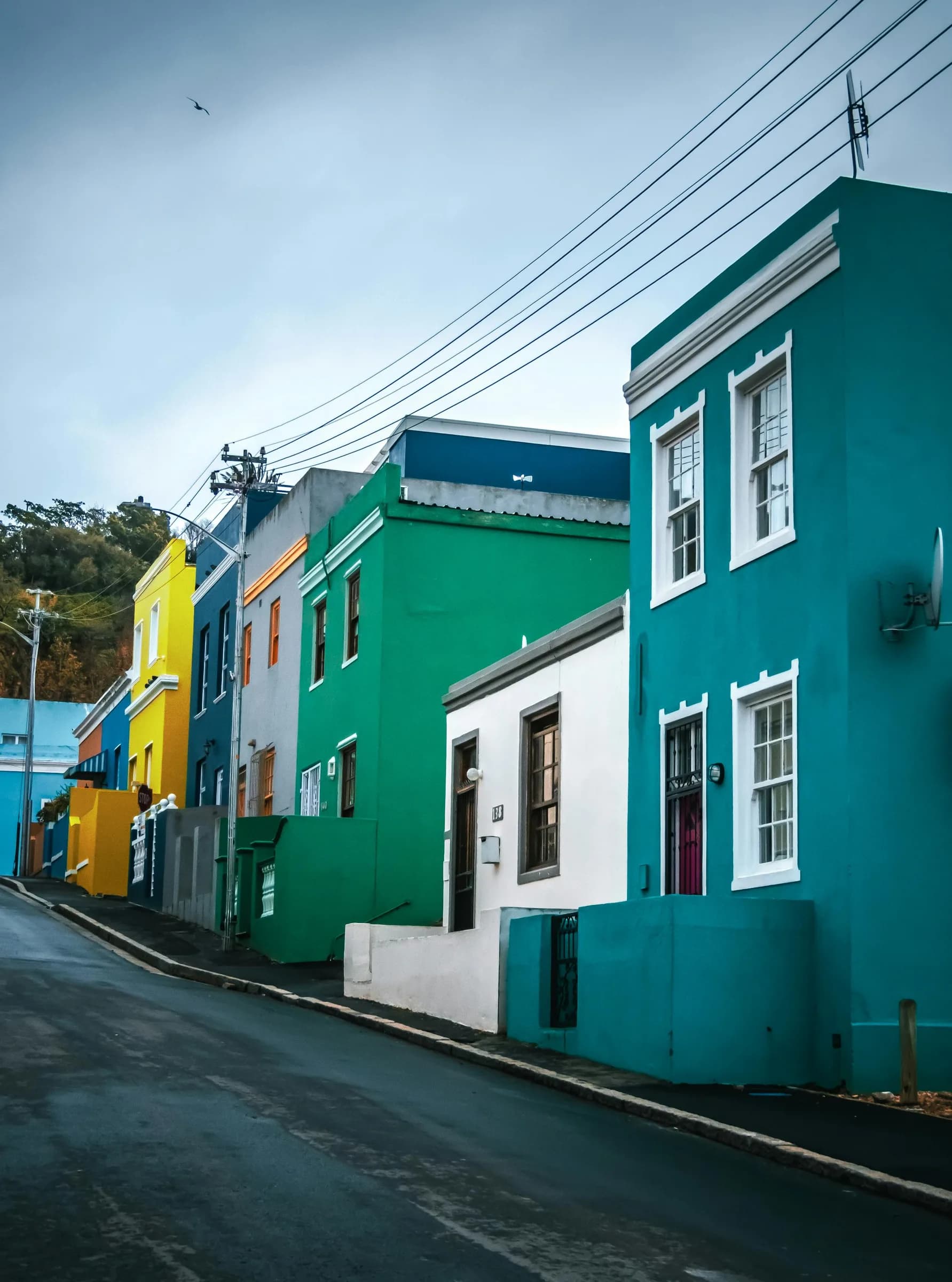 Brightly painted houses lining a Bo-Kaap street, Cape Town's historic Malay quarter