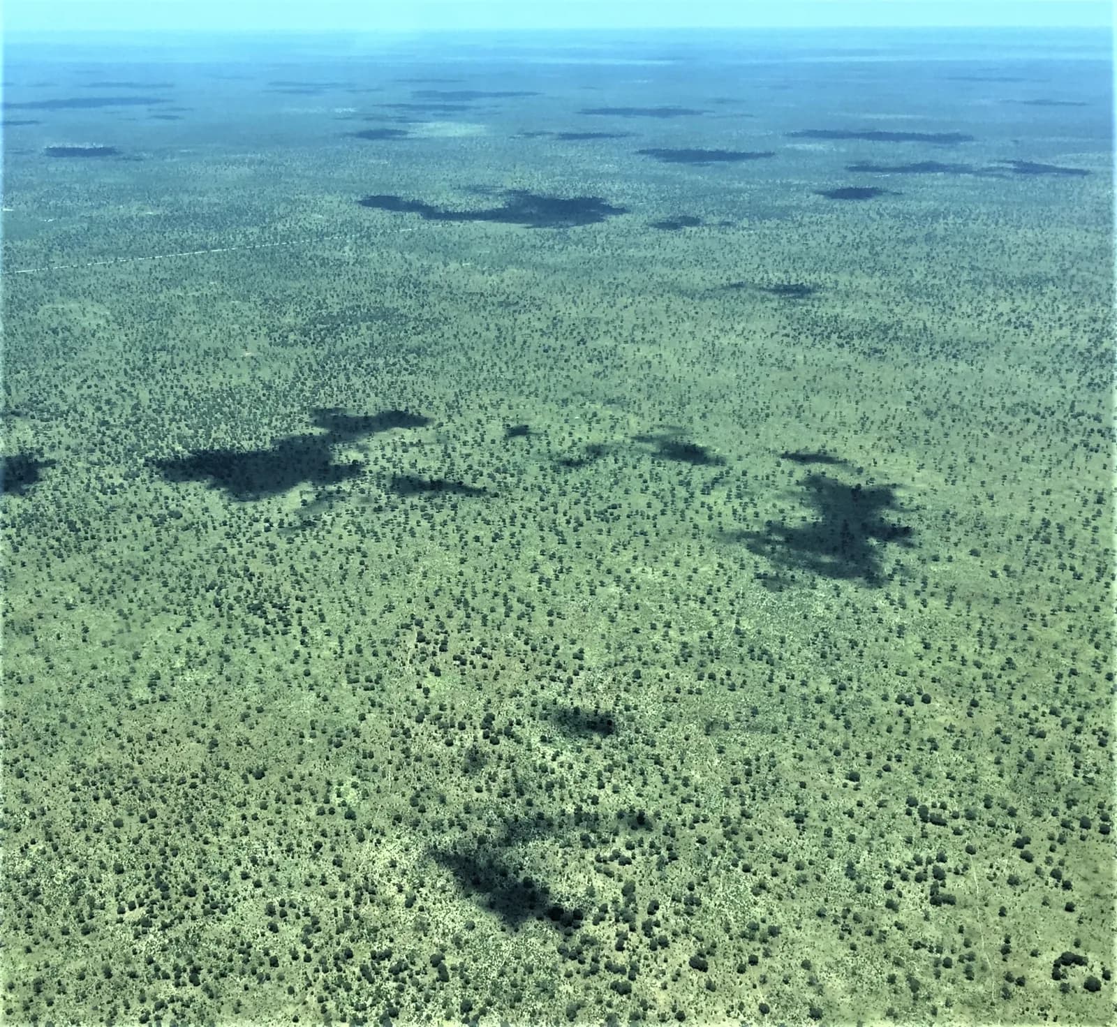 Chobe, Botswana - image 3