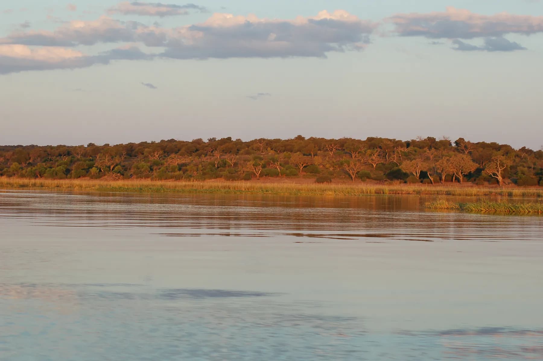 Chobe, Botswana - image 4