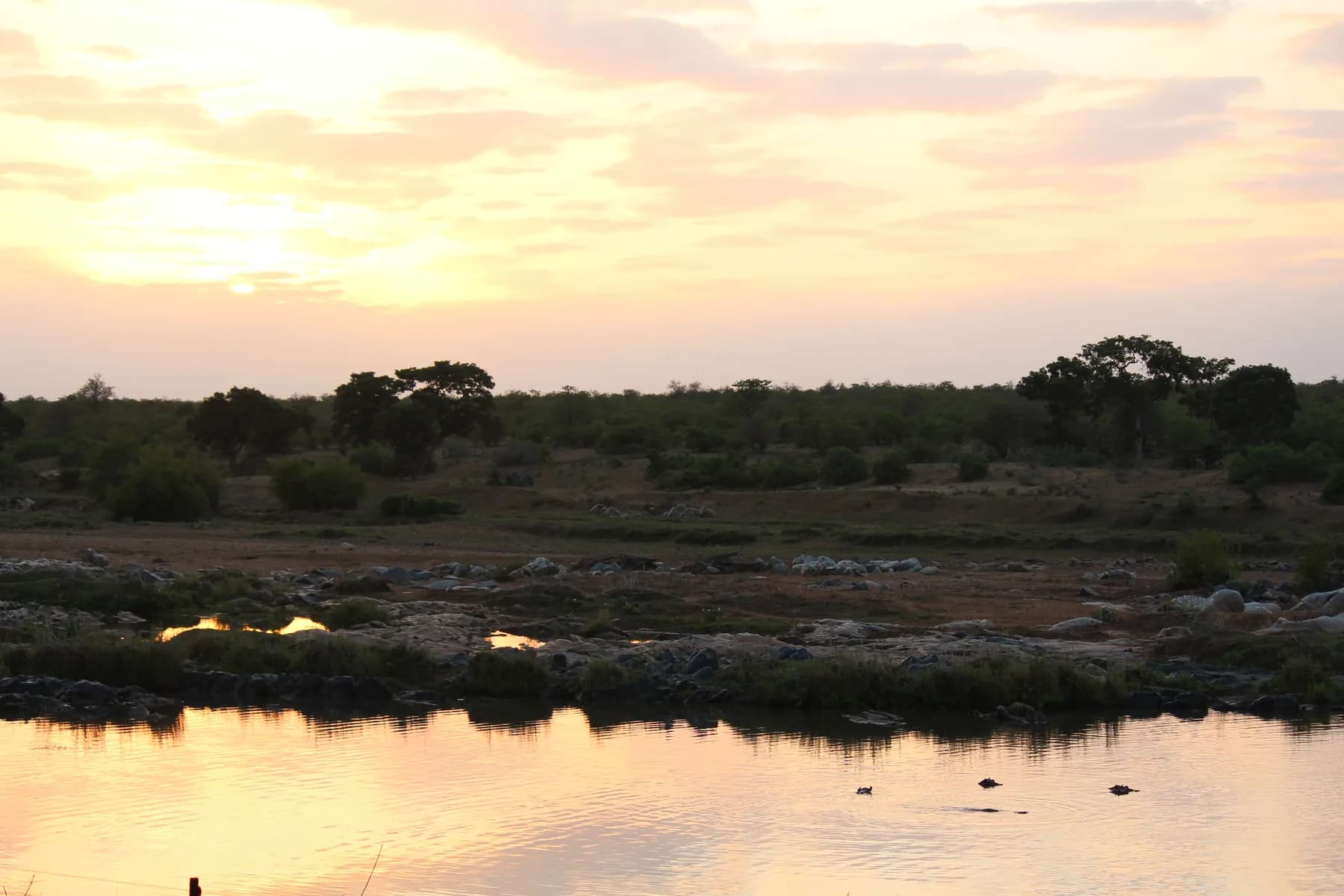 Kruger National Park Safari - image 5