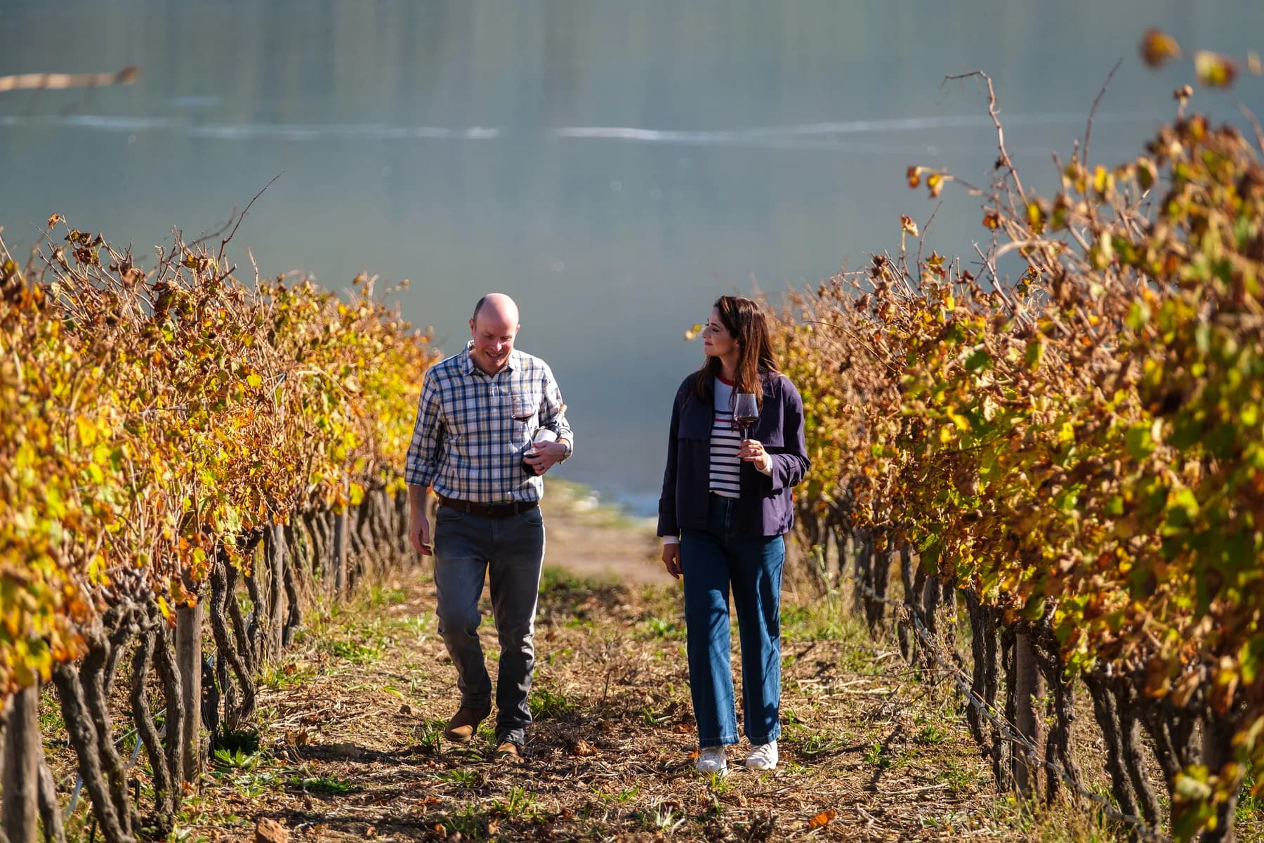 Private producer cellar tasting in the Cape - image 1