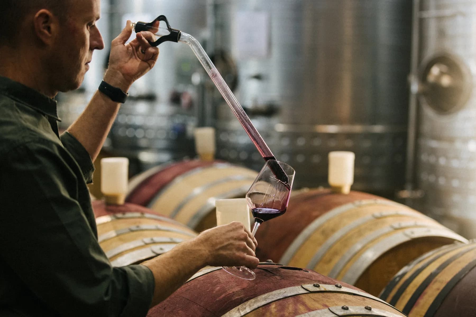 Private producer cellar tasting in the Cape - image 2