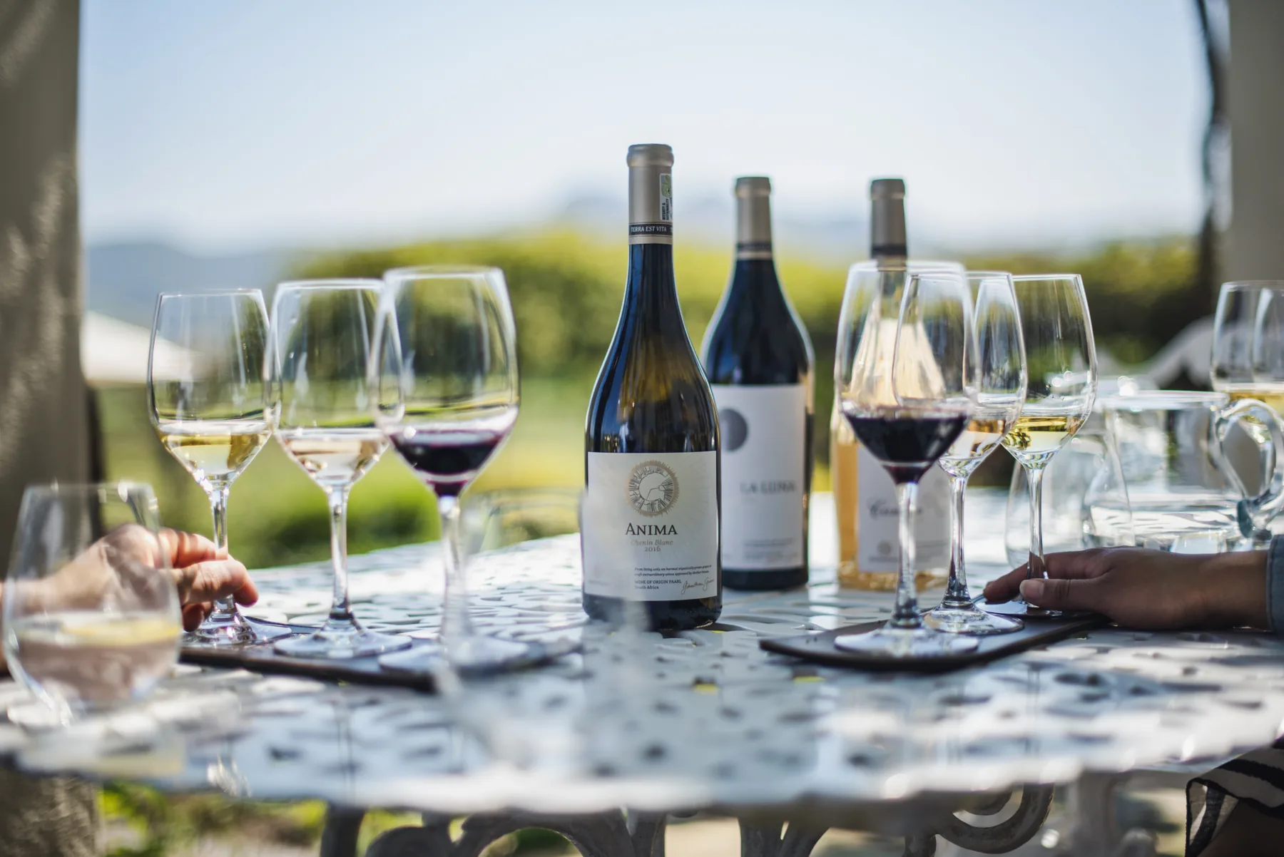South African winelands - image 1
