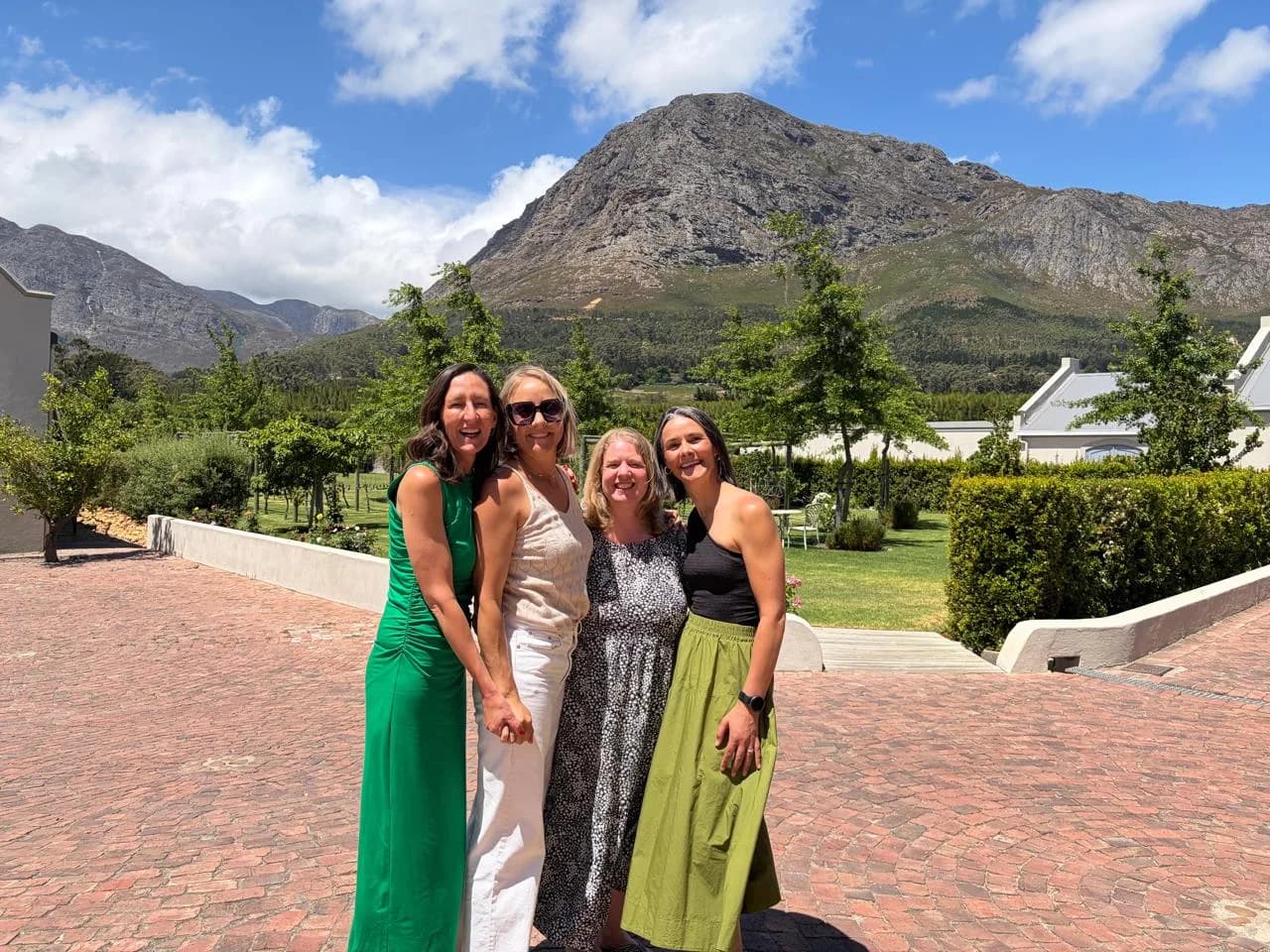 South African winelands - image 2