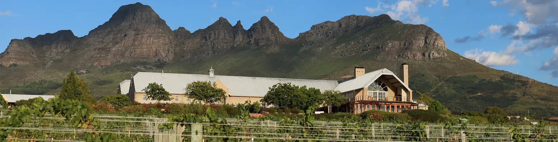 Longridge vineyard
