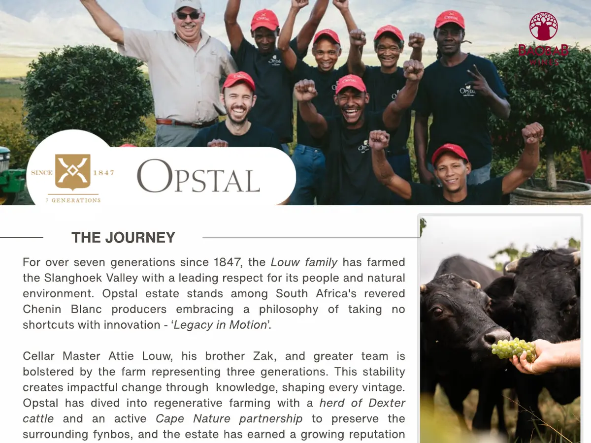 The top of a Baobab Wines producer sell sheet, with the producer logo over a photograph of the estate