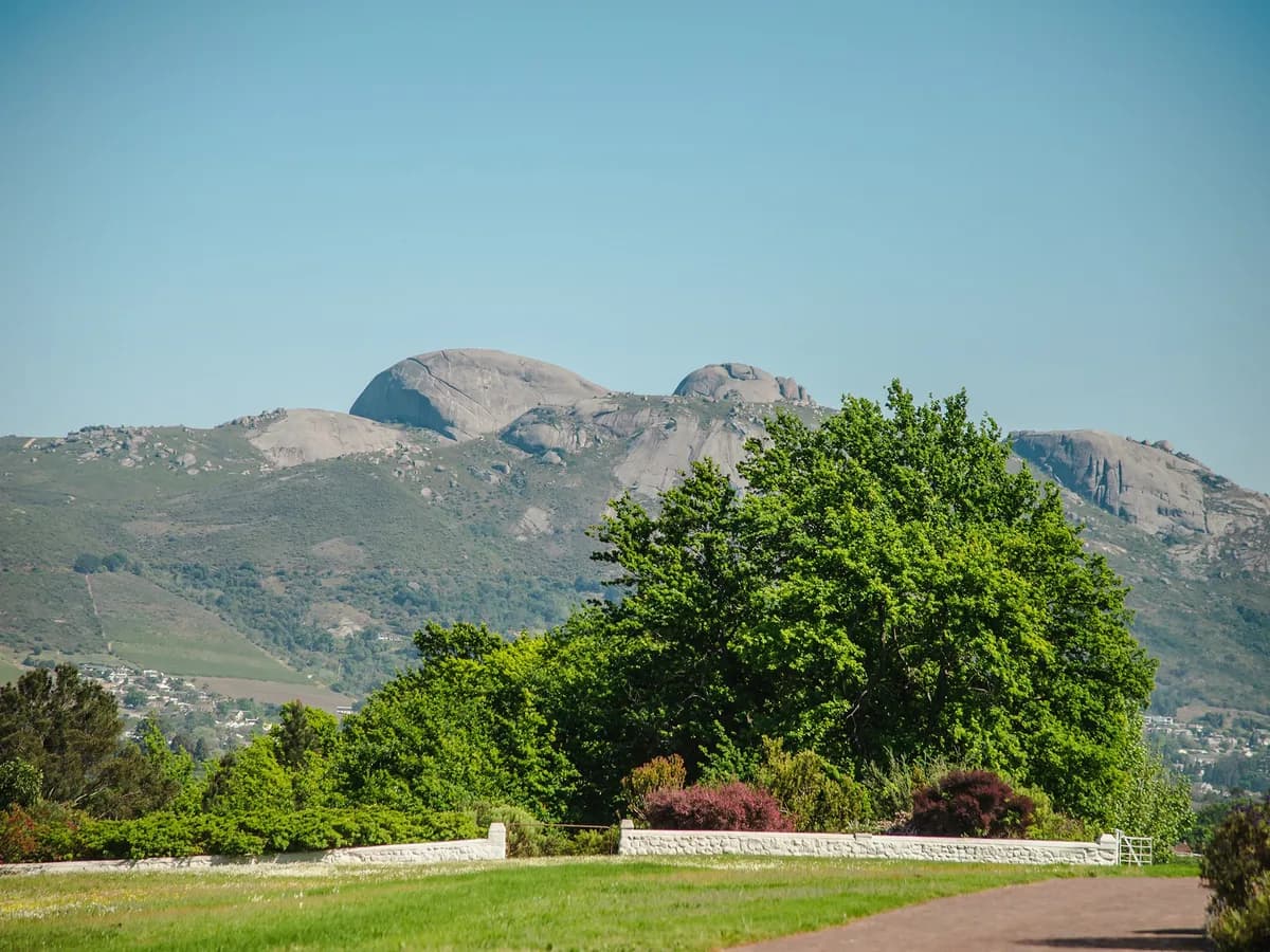 Avondale vineyard and estate - image 7