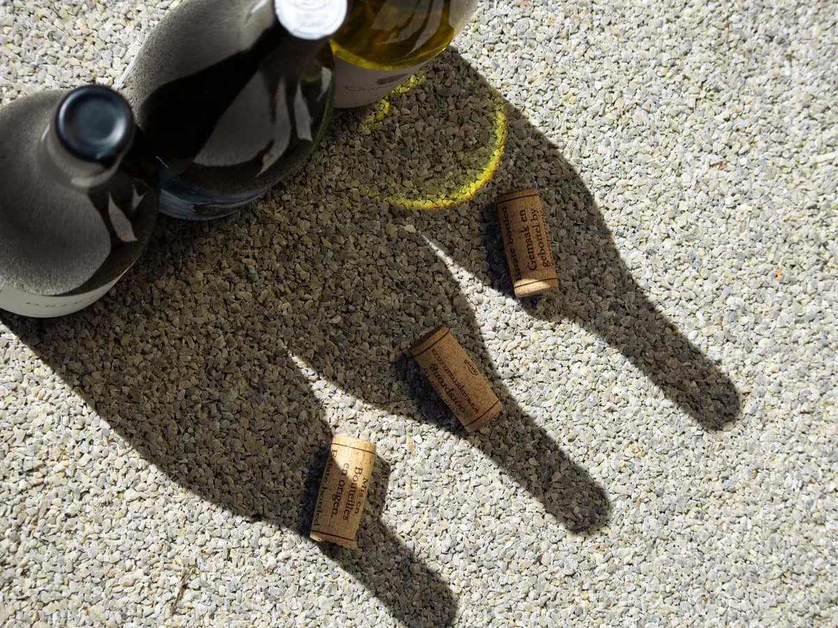 Jasper Raats vineyard and estate - image 6