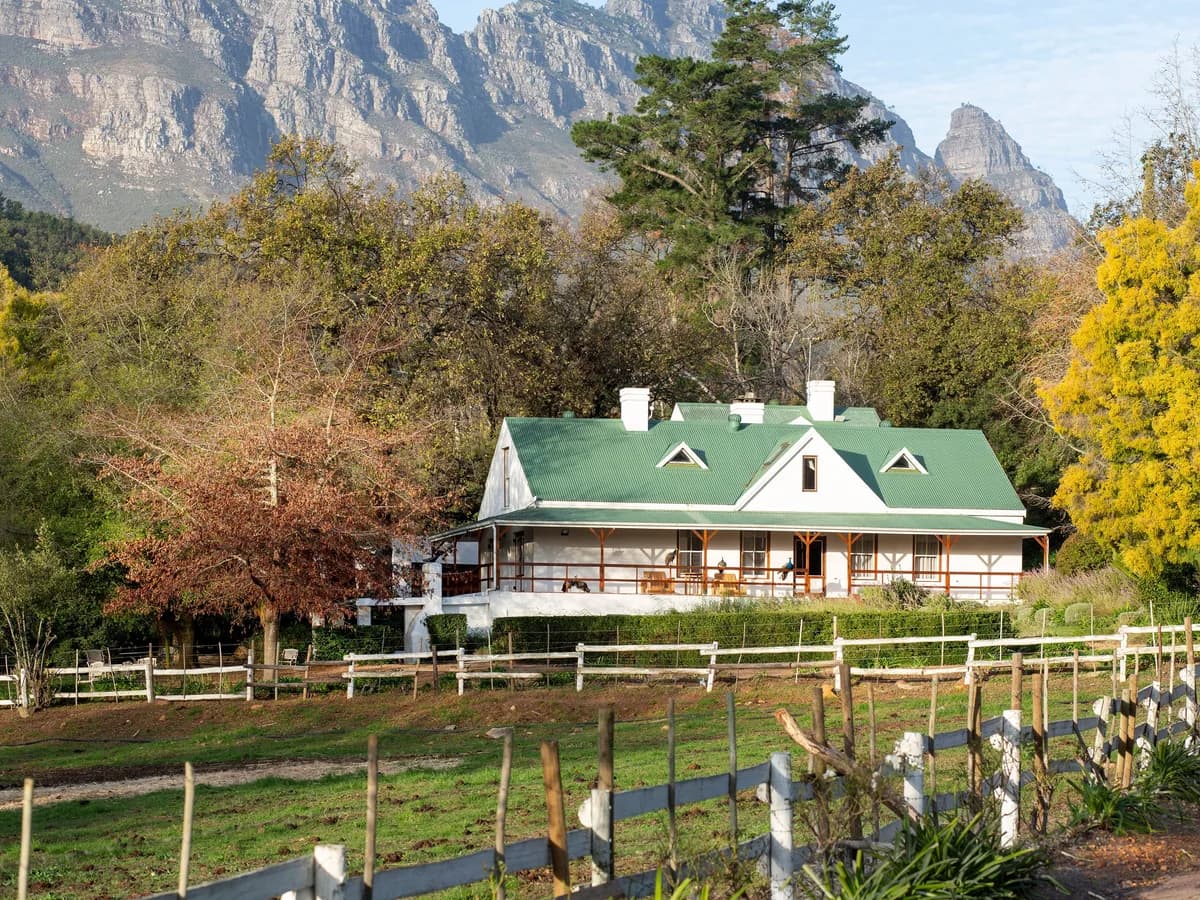 Knorhoek vineyard and estate - image 3