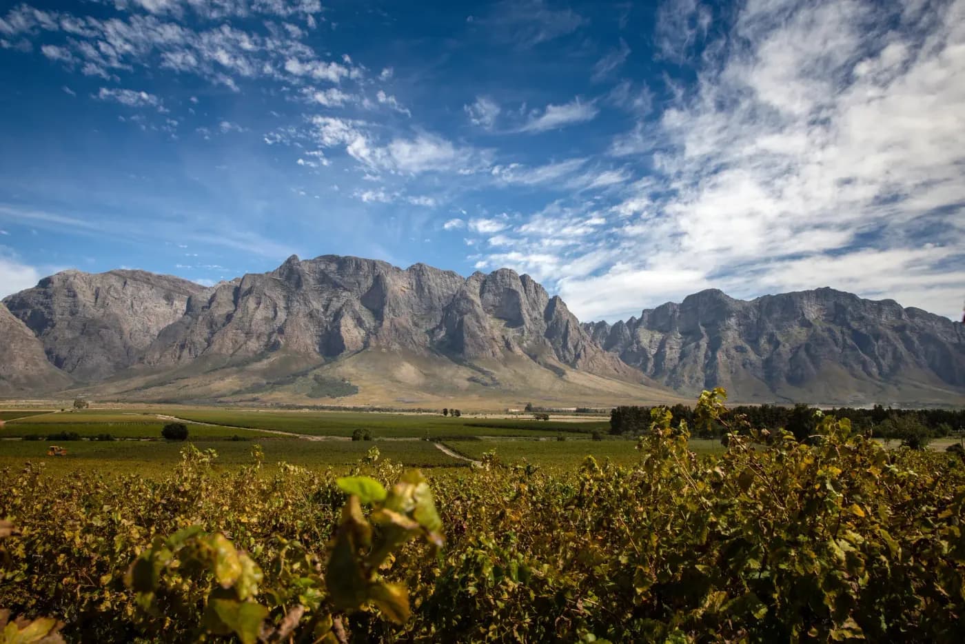 Kumusha vineyard and estate - image 7