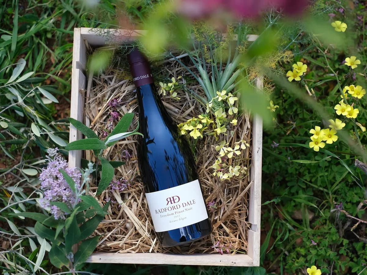 Radford Dale vineyard and estate - image 9
