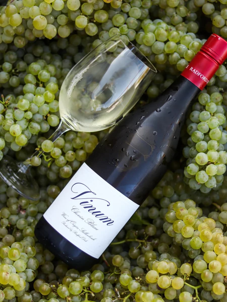A bottle of Vinum Chenin Blanc and a glass nestled among green grapes