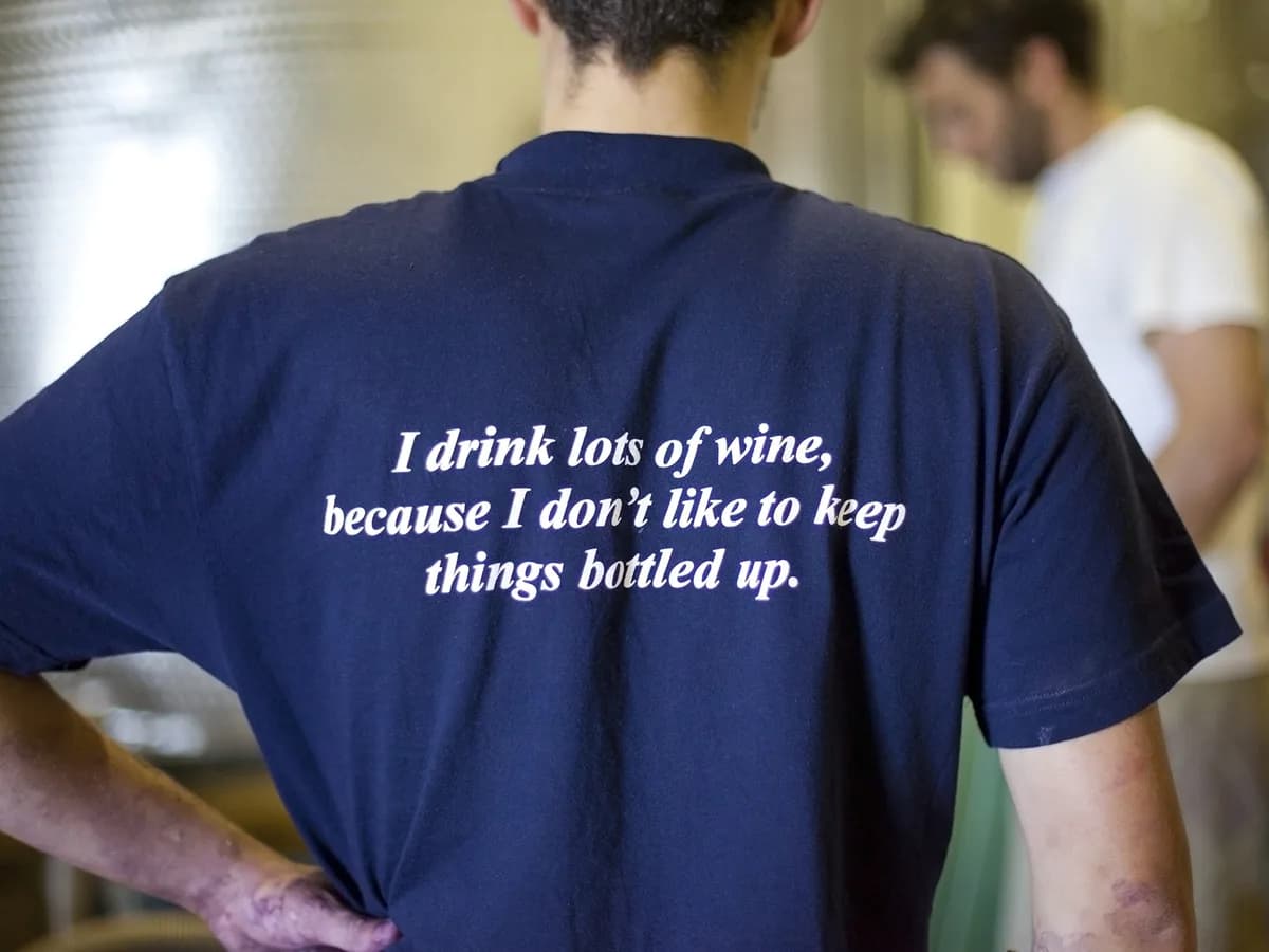 The Winery of Good Hope vineyard and estate - image 7