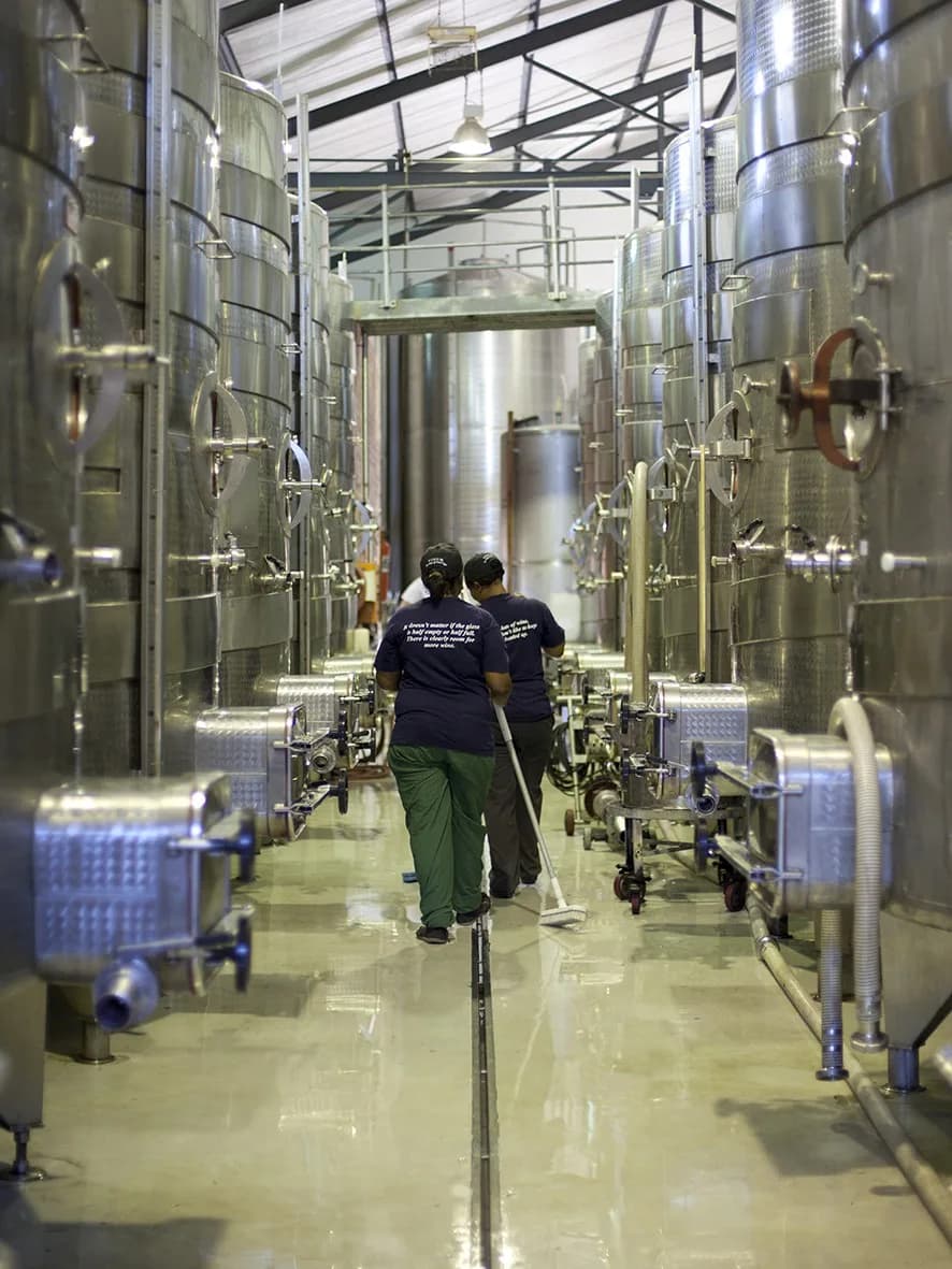 The cellar team walking among the stainless steel tanks