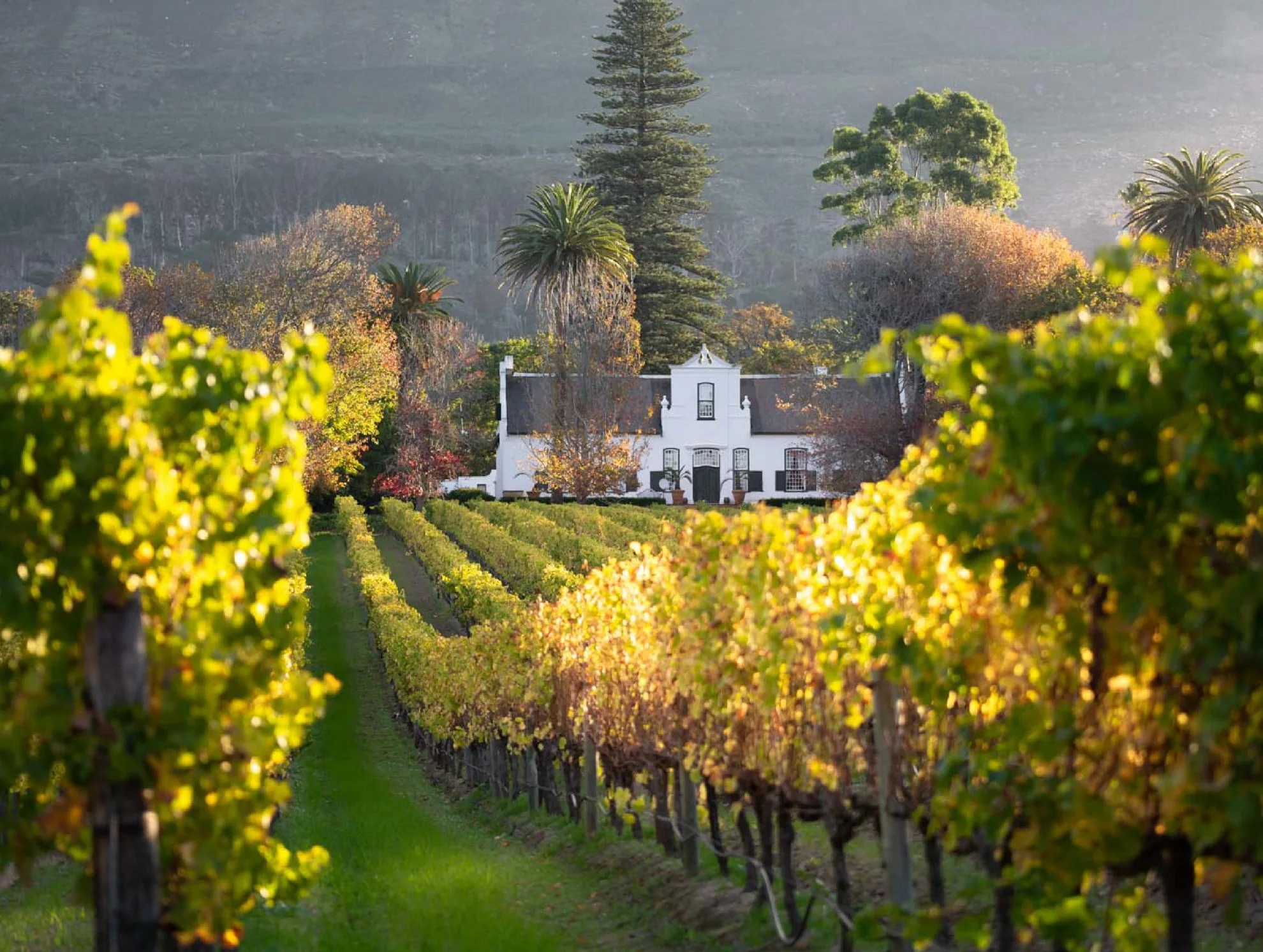 Cape Town landscape with Table Mountain and the surrounding winelands
