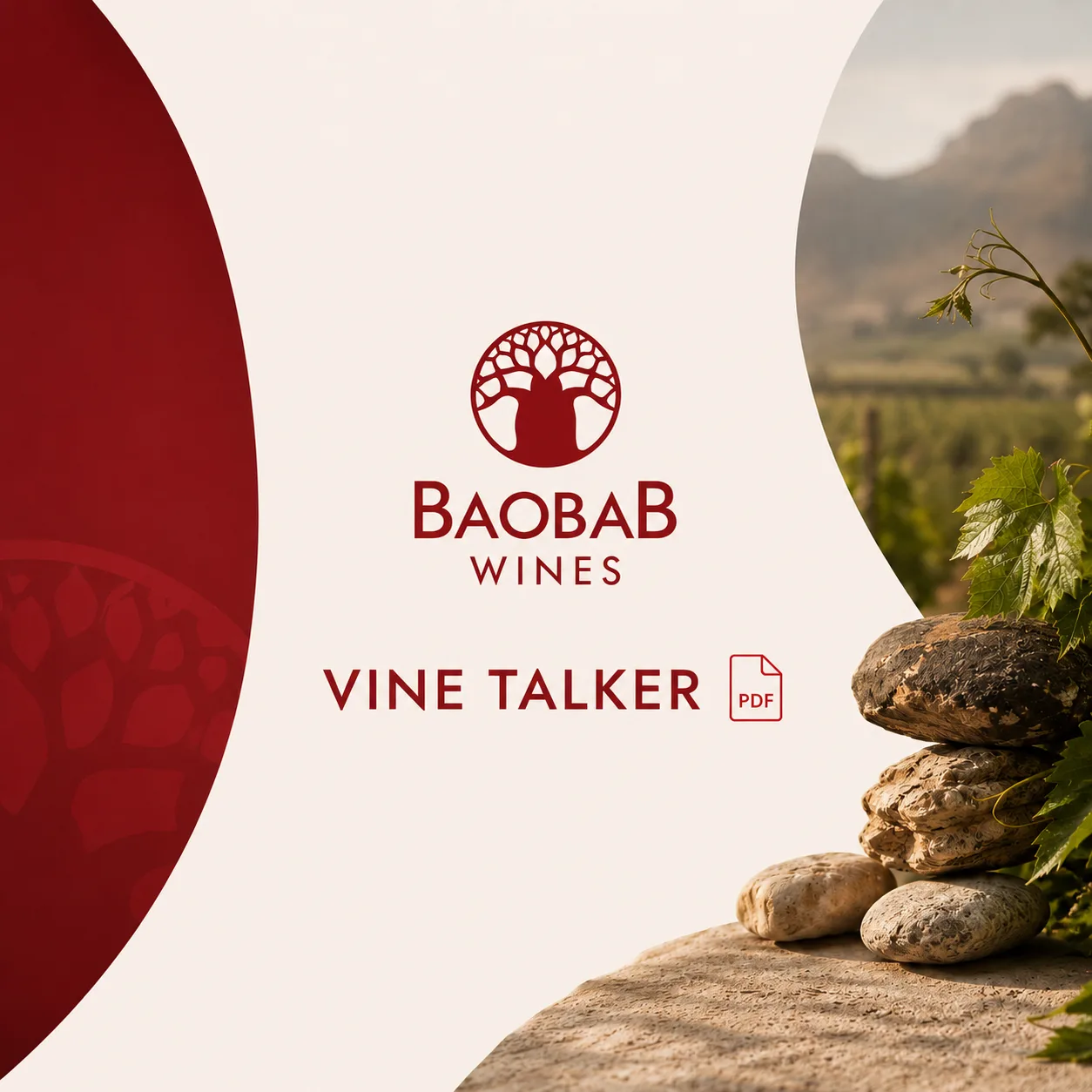Baobab Wines Vine Talker producer one-pager artwork