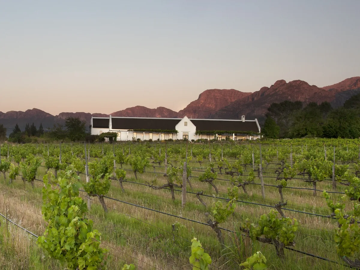 Avondale vineyard and estate - image 2