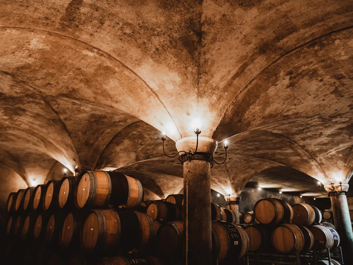 Avondale vineyard and estate - image 5