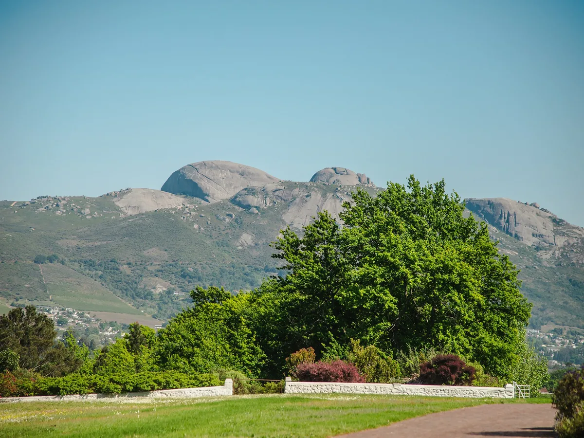 Avondale vineyard and estate - image 7