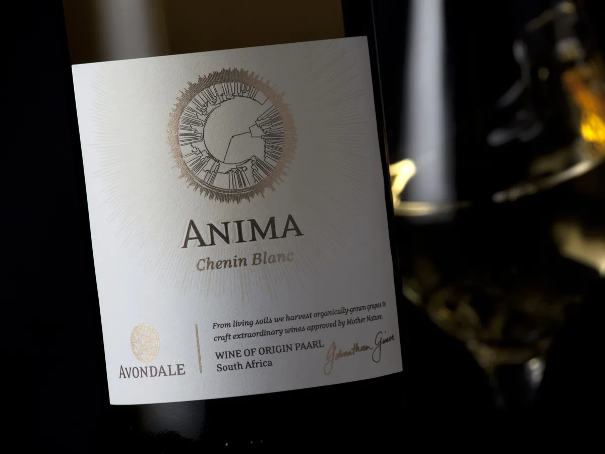 Avondale vineyard and estate - image 9