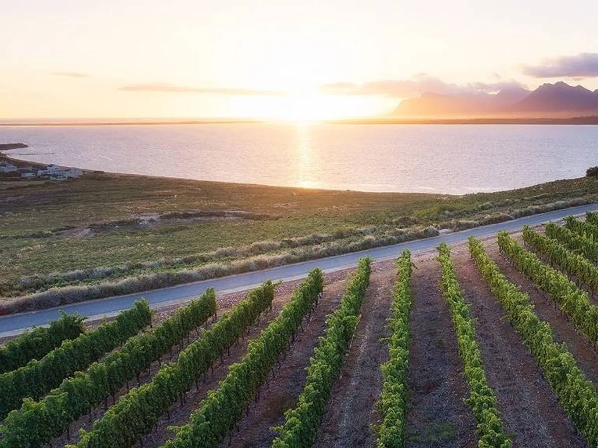 Benguela Cove vineyard and estate - image 3