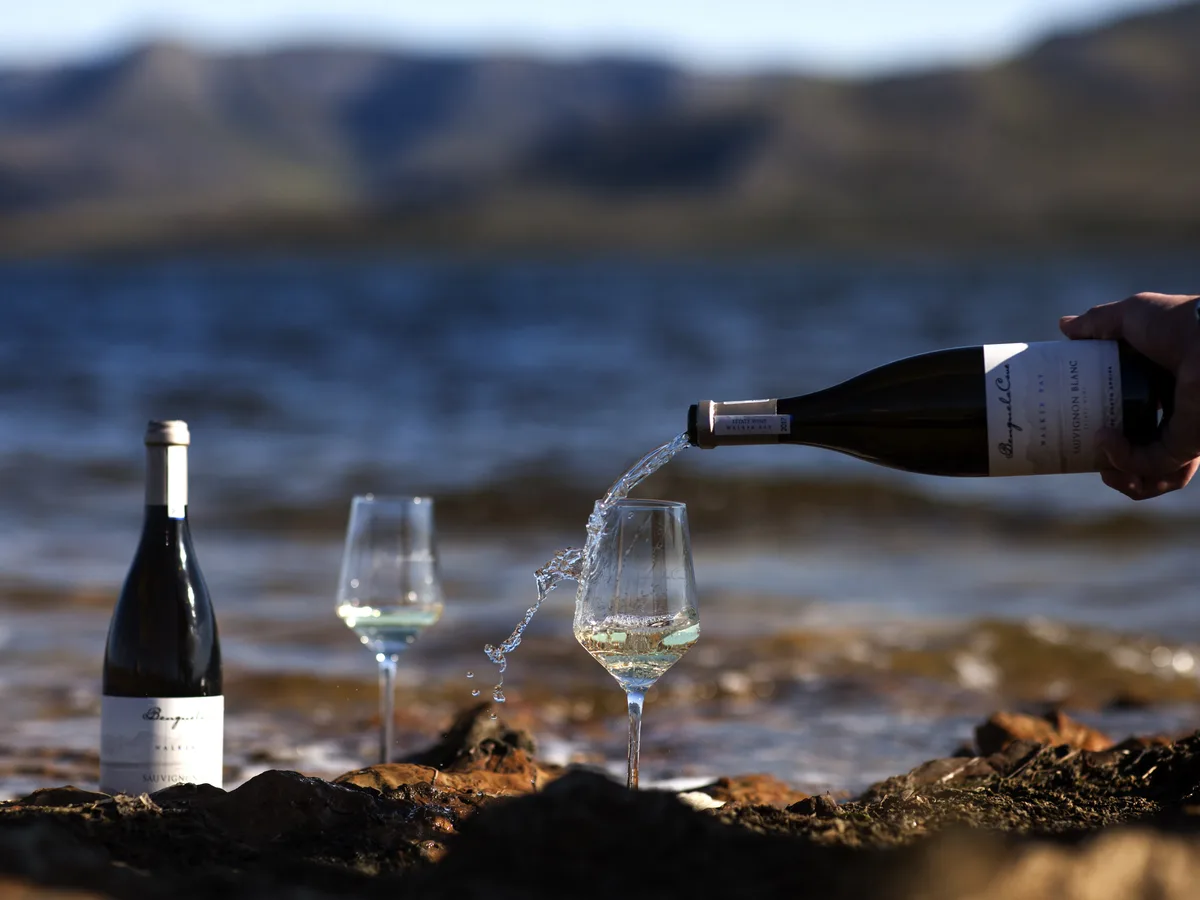Benguela Cove vineyard and estate - image 4