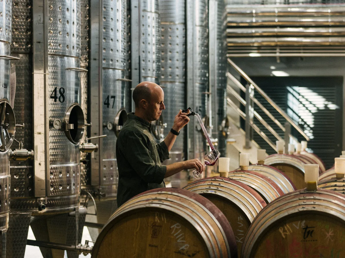 Benguela Cove vineyard and estate - image 5