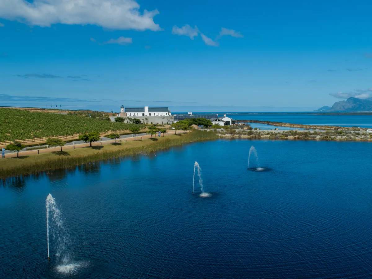 Benguela Cove vineyard and estate - image 8