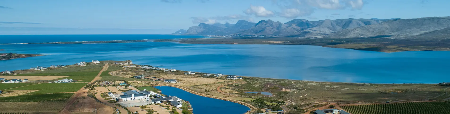 Benguela Cove vineyard