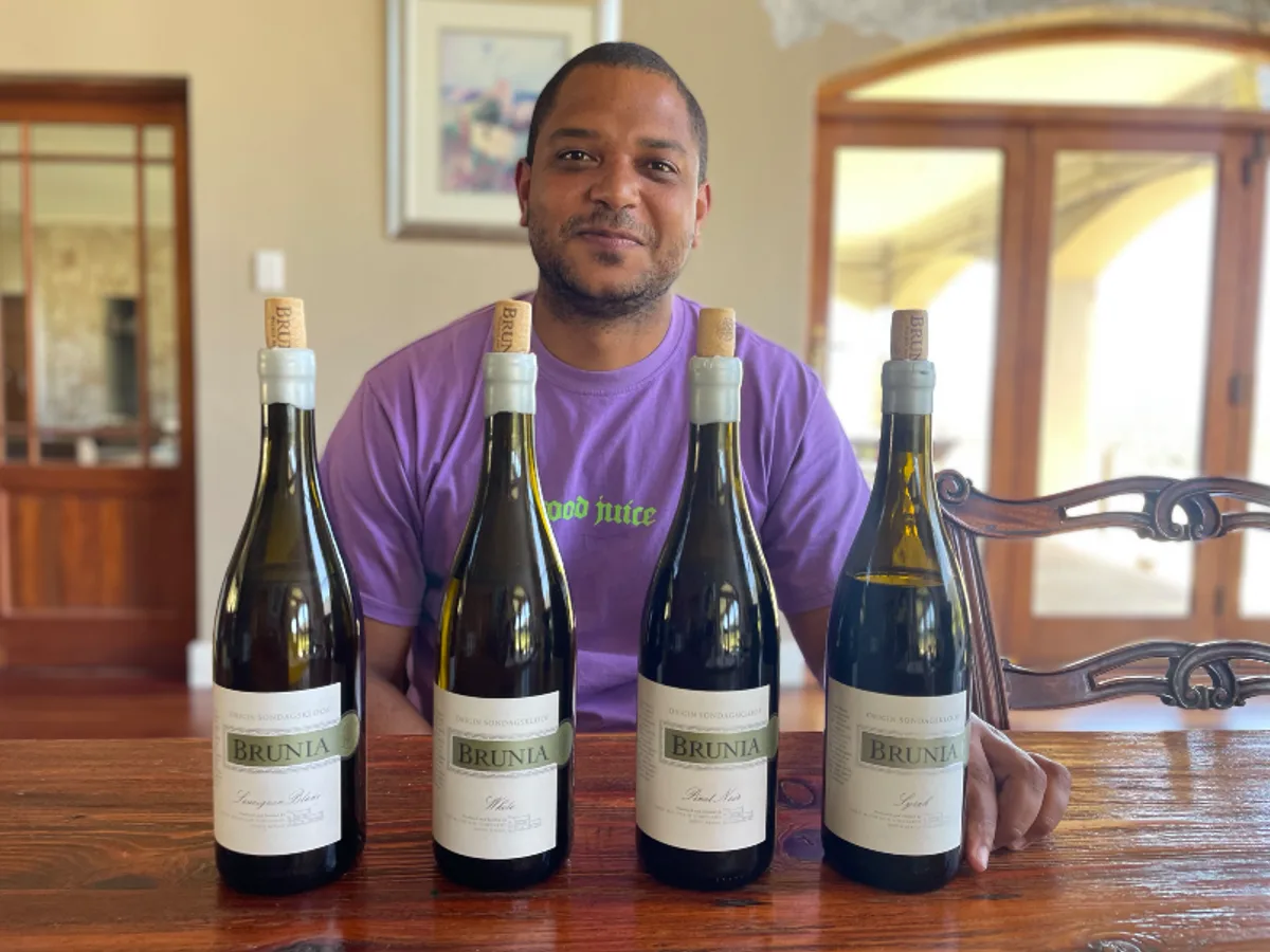 Brunia vineyard and estate - image 5