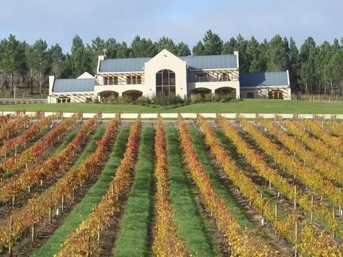 Brunia vineyard and estate - image 6