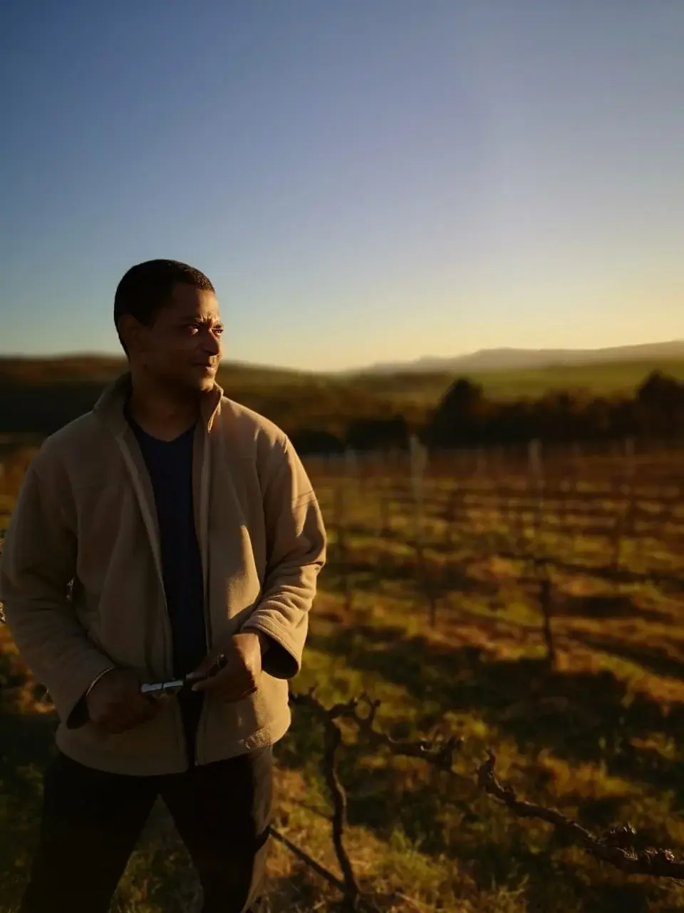 Brunia vineyard and estate - image 4