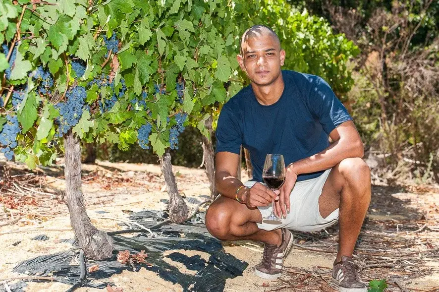 Brunia vineyard and estate - image 1