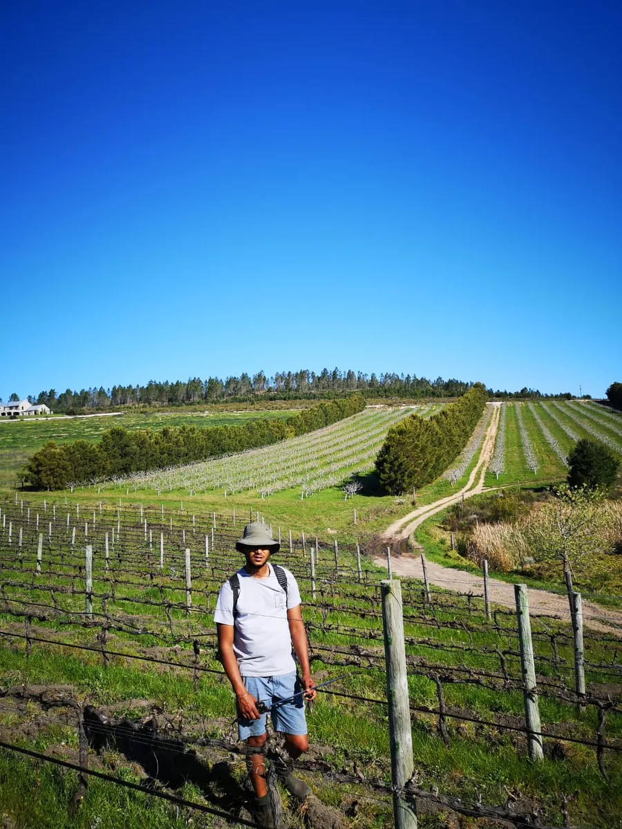 Brunia vineyards in the Sondagskloof valley