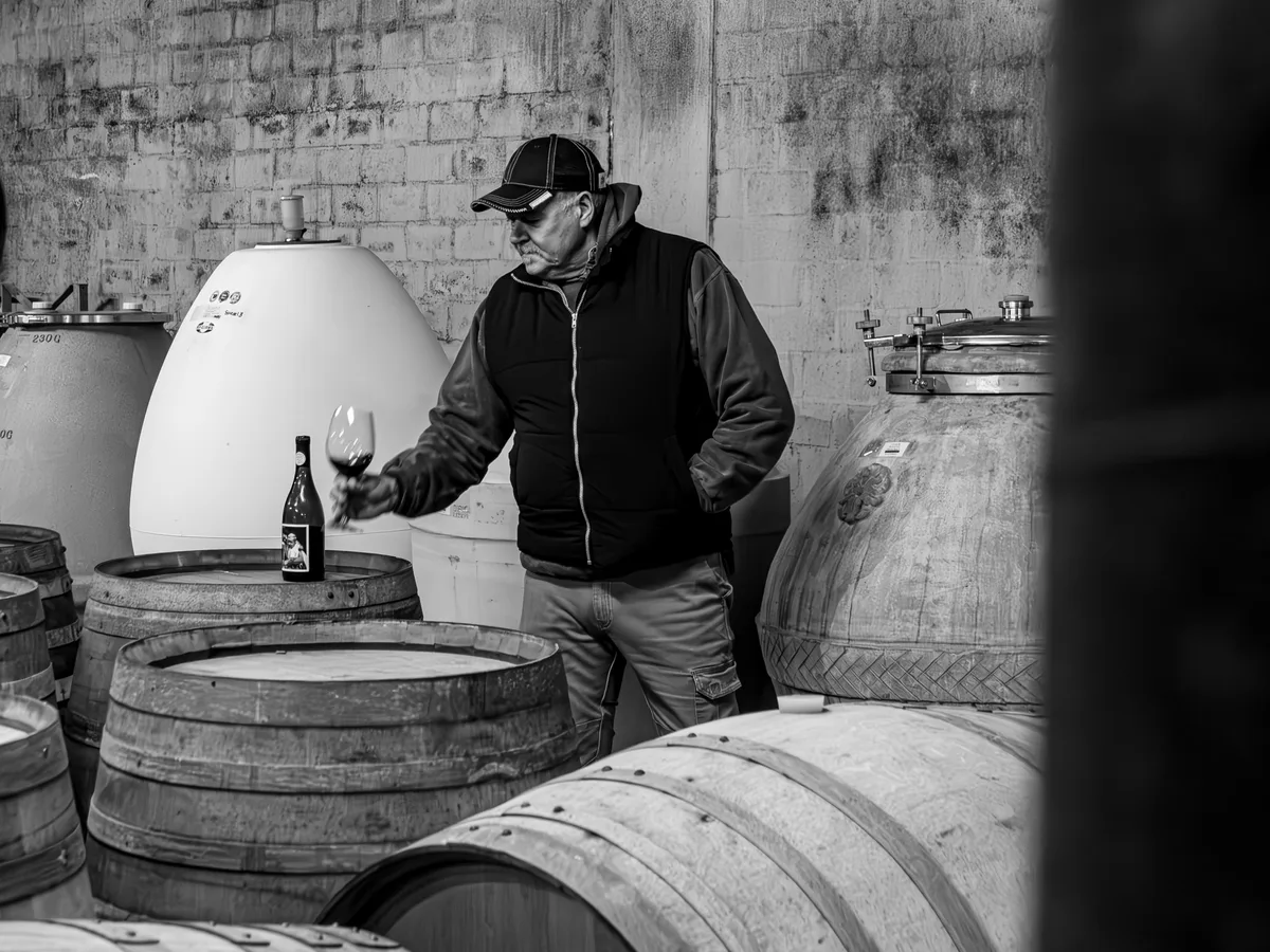 Jasper Raats vineyard and estate - image 1