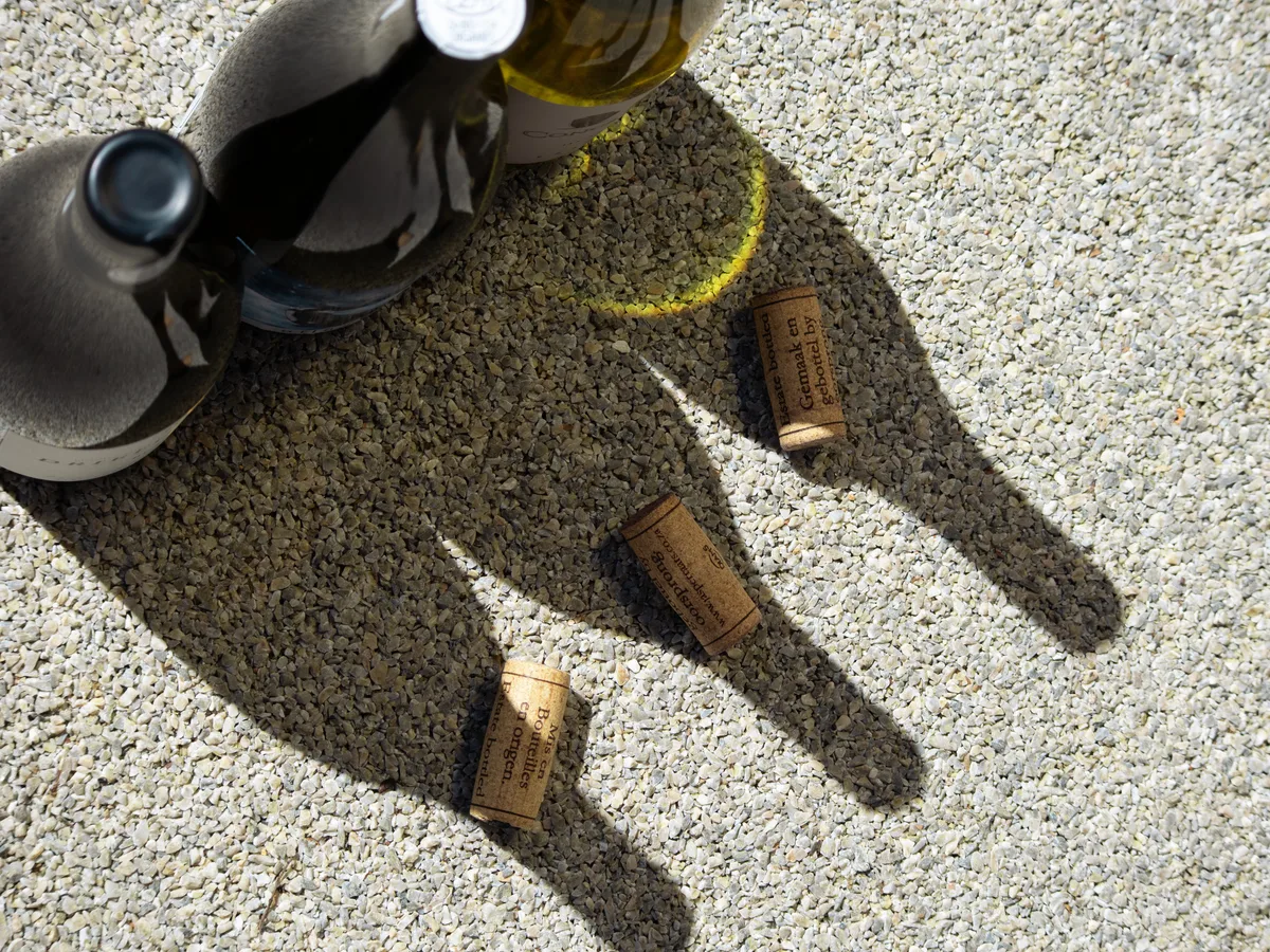 Jasper Raats vineyard and estate - image 6