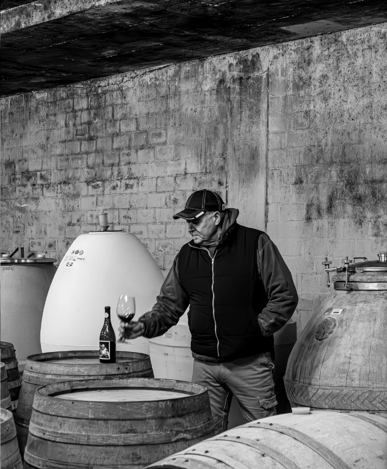Jasper Raats vineyard