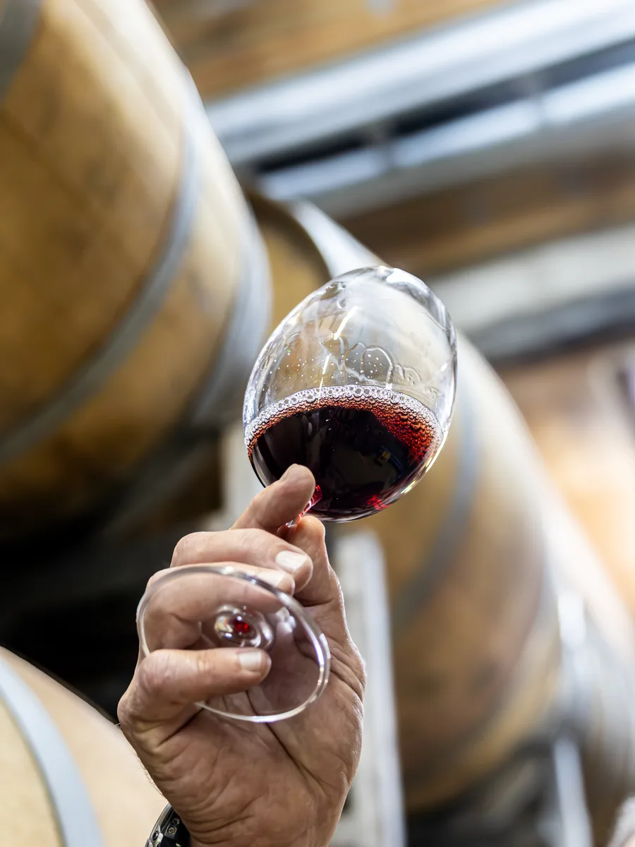 A glass of Jasper Raats red wine held to the light against the cellar barrels