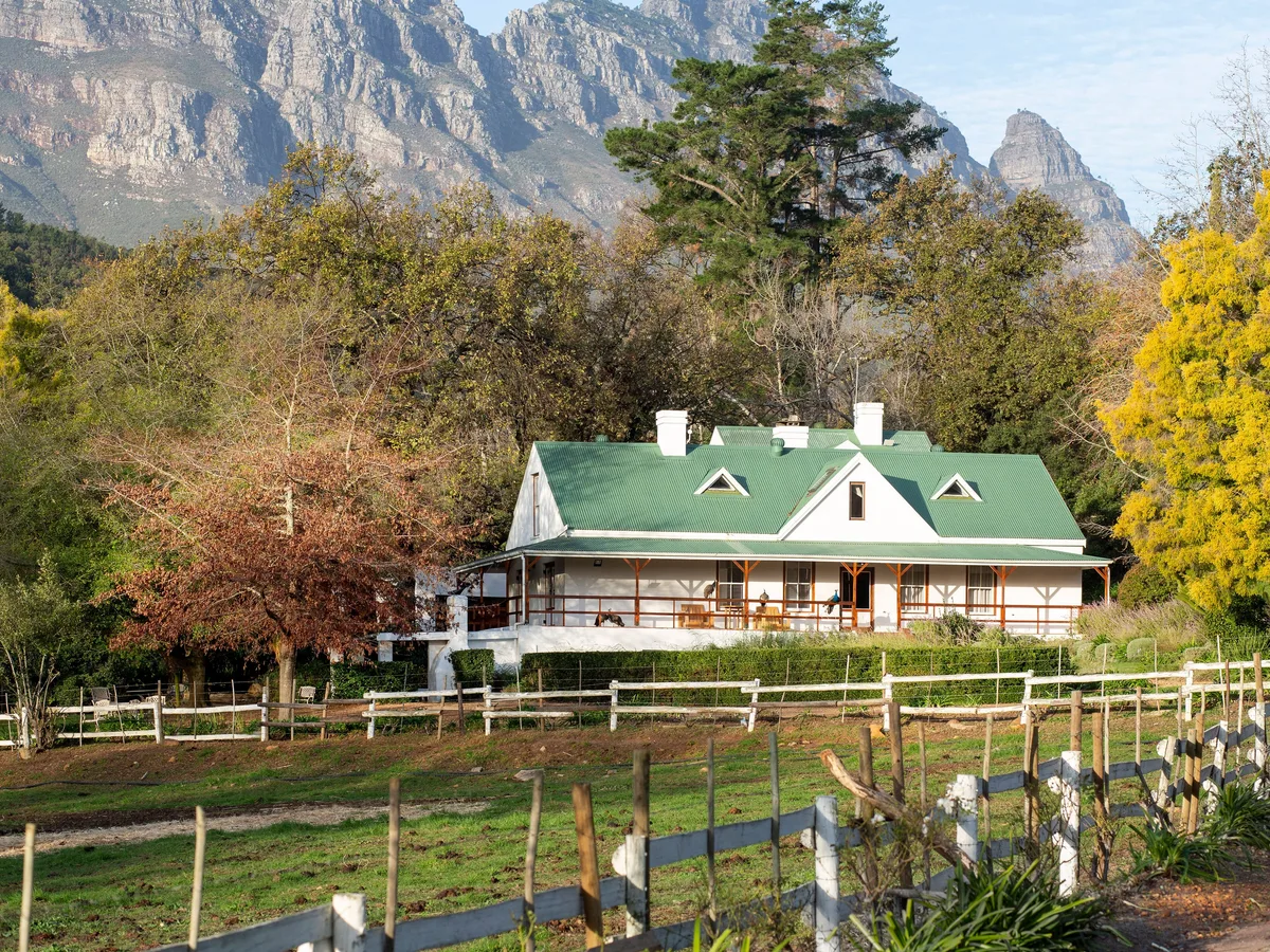 Knorhoek vineyard and estate - image 3