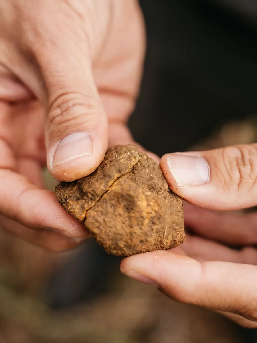 Hands holding a clod of the estate's decomposed granite soil