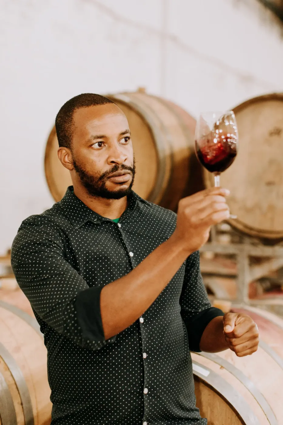 Kumusha vineyard and estate - image 3