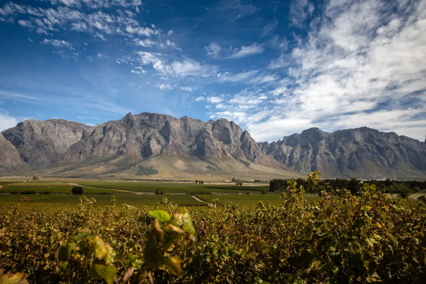 Kumusha vineyard and estate - image 7