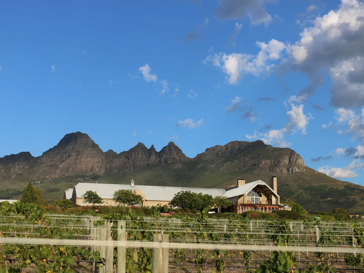 Longridge vineyard and estate - image 4