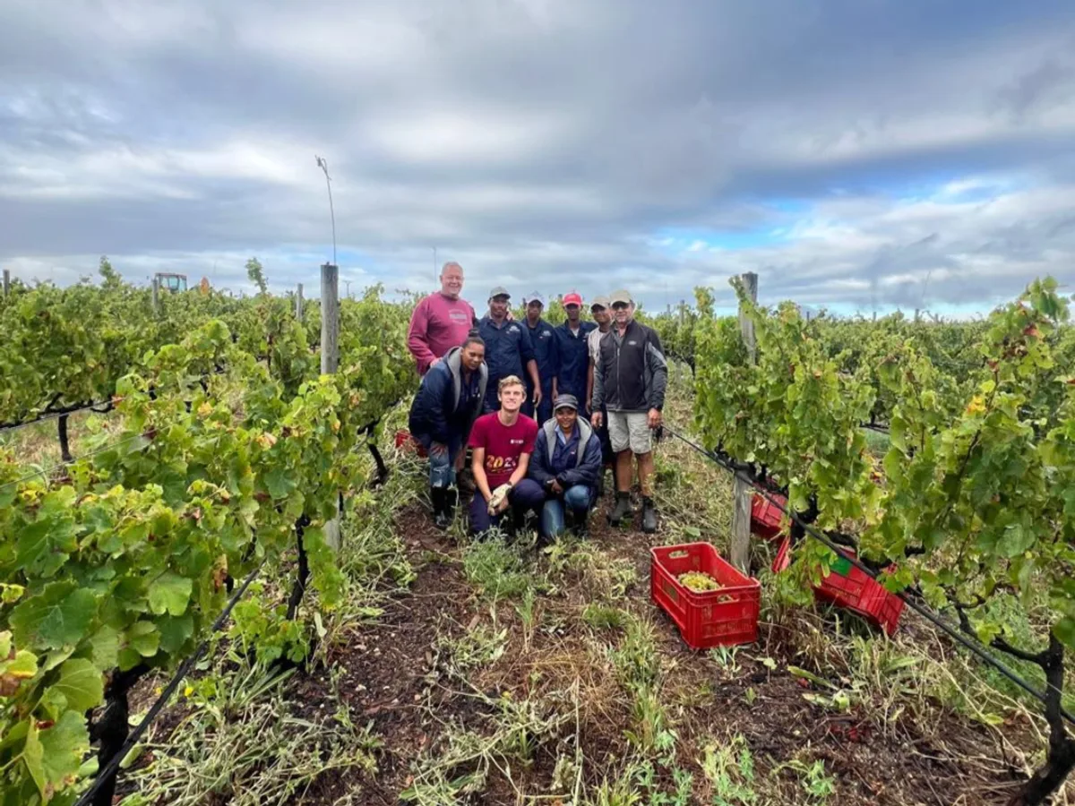Longridge vineyard and estate - image 11