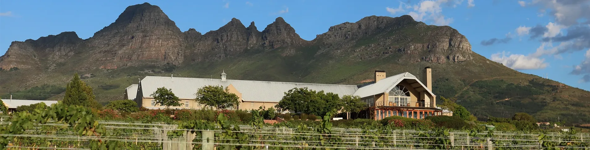 Longridge vineyard