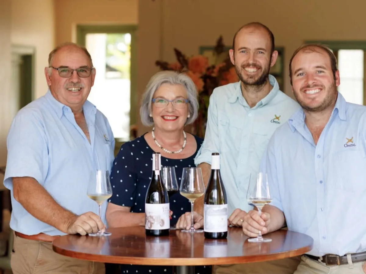 Opstal vineyard and estate - image 4