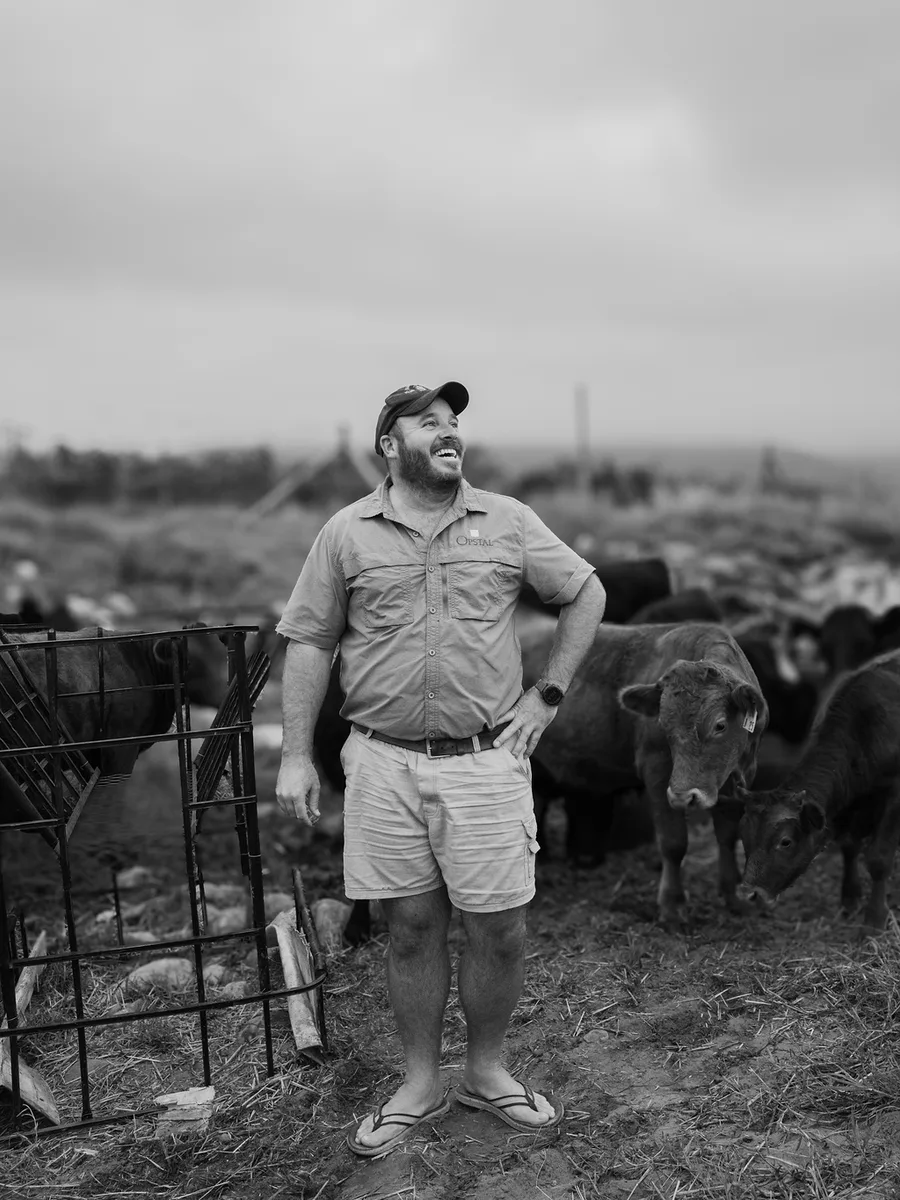 A farmer standing among the Dexter herd in the Slanghoek valley at Opstal Estate