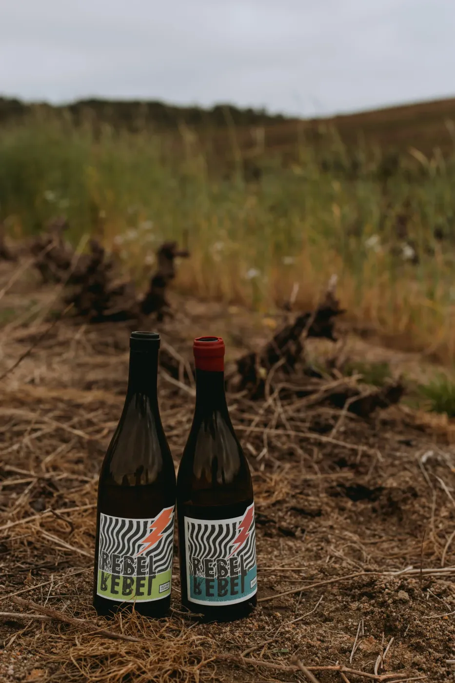 Rebel Rebel vineyard and estate - image 8