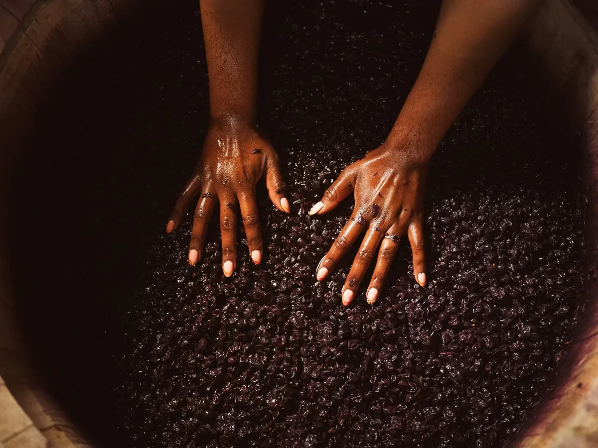 Three Quarters vineyard and estate - image 2